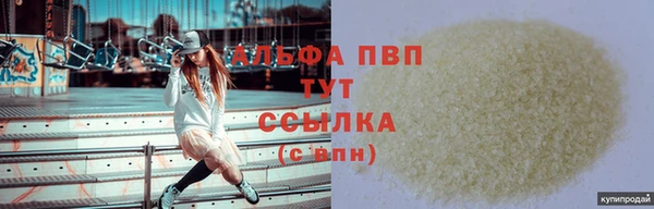 гашик Арсеньев