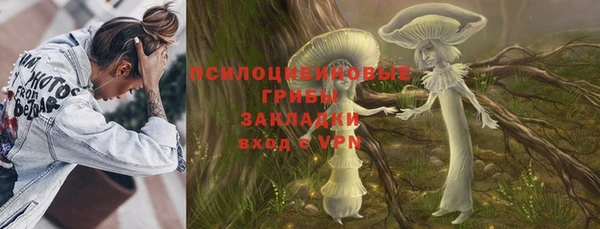 ГАЛЛЮЦИНОГЕННЫЕ ГРИБЫ Алексеевка