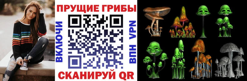 купить наркотик  Малоархангельск  Псилоцибиновые грибы мухоморы 